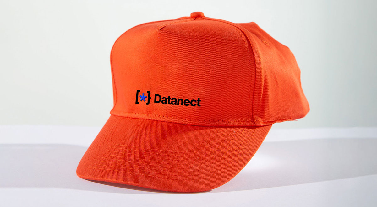 Datanect